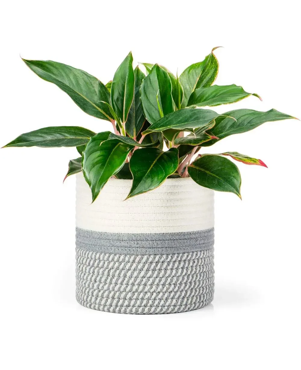 New Small Decorative Woven Rope Plant Basket Gray & White